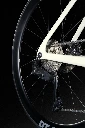 LXDTA_5.webp
